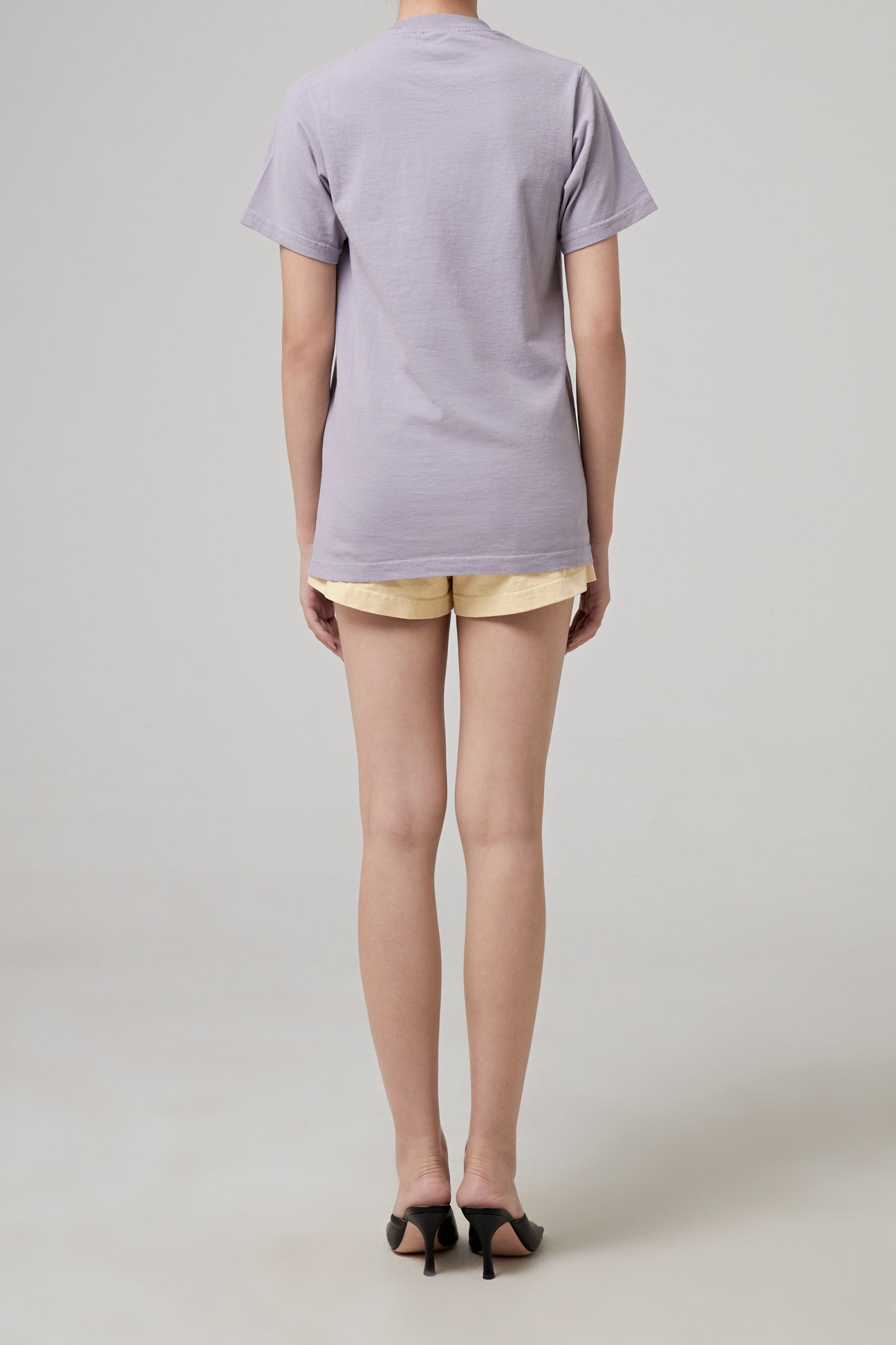 WELLNESS IVY T SHIRT FADED
