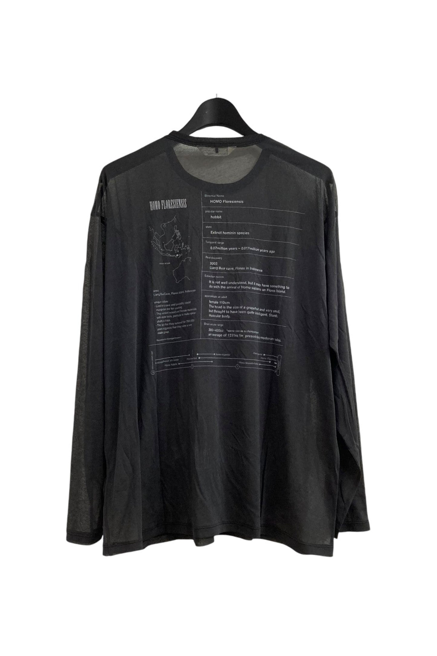 extinct hominin sheer jersey long T