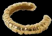 CASSANDRA BRACELET GOLD
