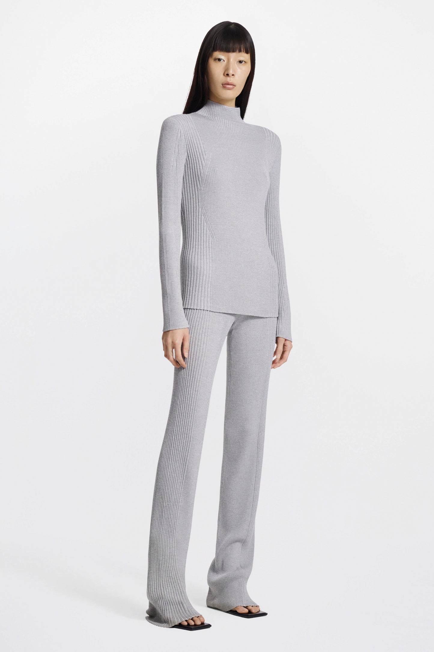 LIGHT REFLECTIVE RIBPANT