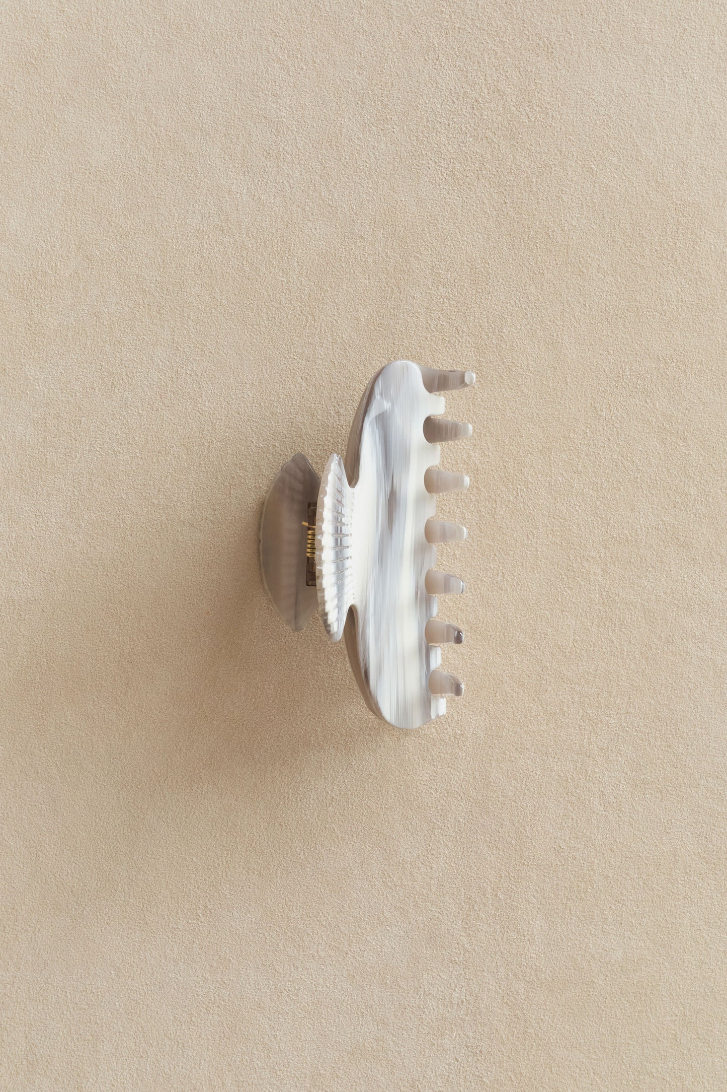 Small Fan Shell Claw, Appaloosa