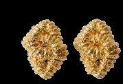 LOTO EARRING